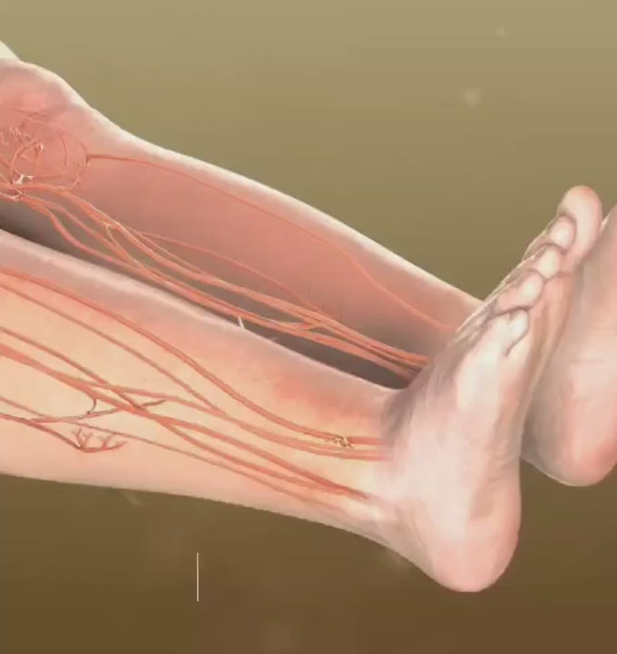 Detox Foot Patches Pack of 20